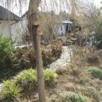 33291 Garten