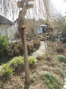 33291 Garten